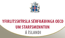 Yfirlitsskýrsla sérfræðinga OECD um starfsmenntun á Íslandi